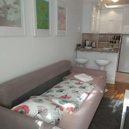 New Cosy Nowy Sad